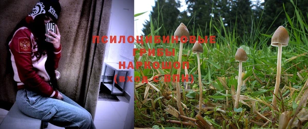прущая мука Каменногорск