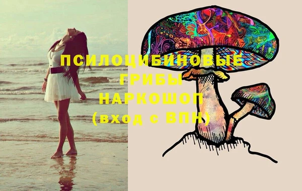 твердый Каменка