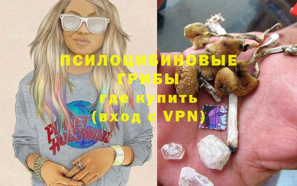 твердый Каменка