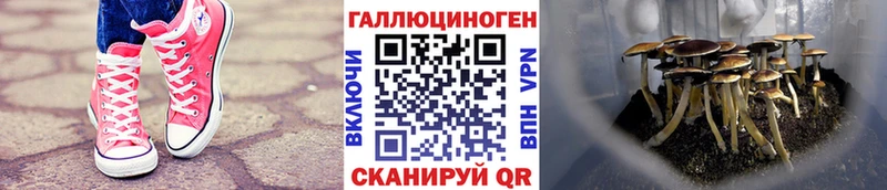 Галлюциногенные грибы Cubensis  Купить закладки  Зеленодольск 